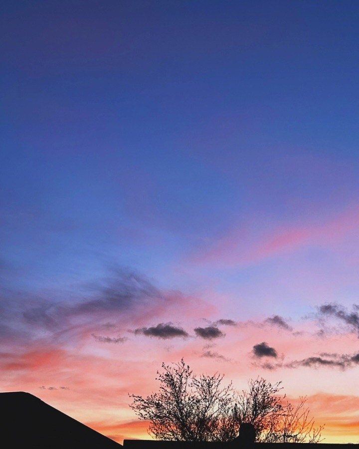 a sunset image with a mid blue sky and wispy pink and orange clouds with some small dark grey fluffy clouds and the silhouette of a tree in the foreground.