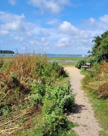 a path leading through shrubland and wild grass fading into a blue sky with fluffy white clouds