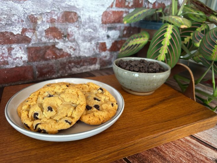 a plate with two chocolate chip cookies on with a bowl of chocolate chips and a plant in the background. the plate is sitting on a wooden tray with a rustic brick wall in the background